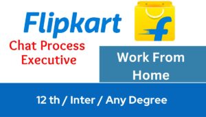 FLIPKART CHAT PROCESS EXECUTIVE Jobs 2024