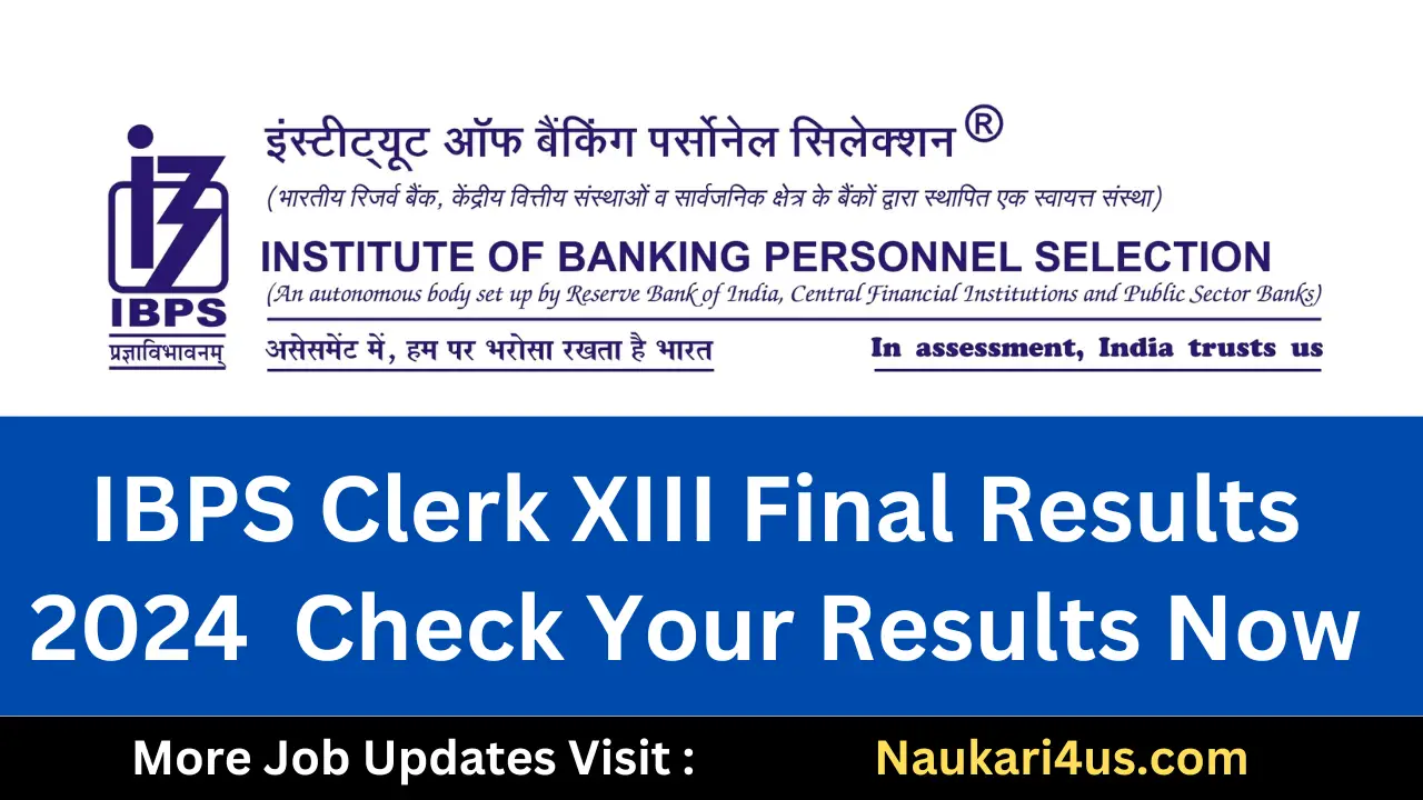 IBPS Clerk XIII Final Results 2024: Check Your Results Now
