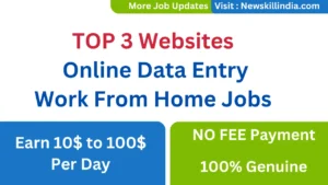 Online Data Entry Work From Home Jobs 2025 – Earn 10$ to100$ Per Day - Top 3 Online Data Entry Websites