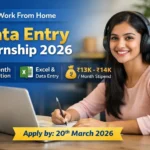 Work From Home Data Entry Internship 2026