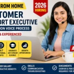 Work From Home Customer Support Executive Job 2026